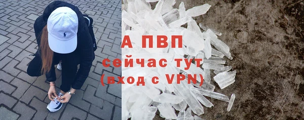стафф Армянск